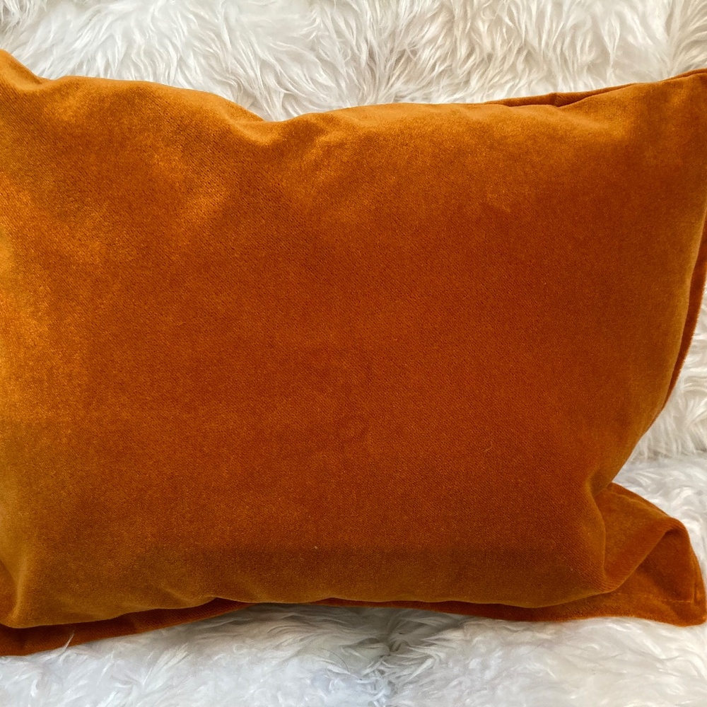 Cotton Velvet Pillow Covers (2 Covers) - Great for Fall!